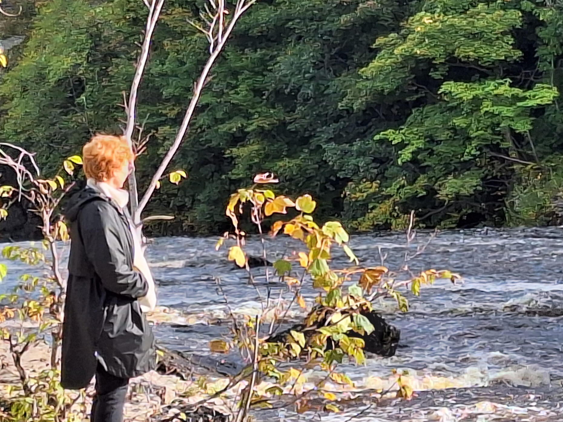 Sophie's Coaching Sophie Dalpra, life and clarity coaching, life coach,